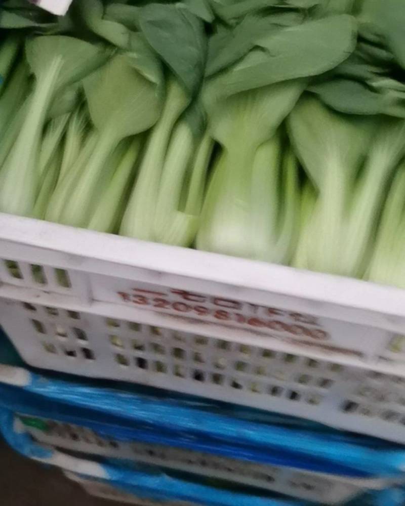 三利蔬菜批发中心
