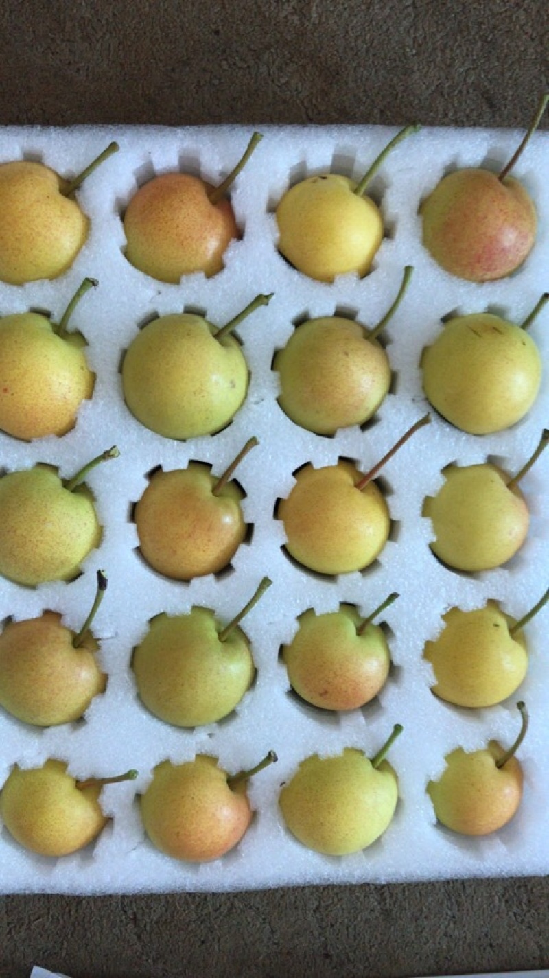 云南水果汇