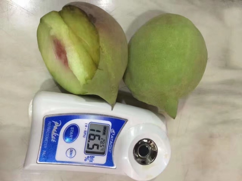 云南水果汇