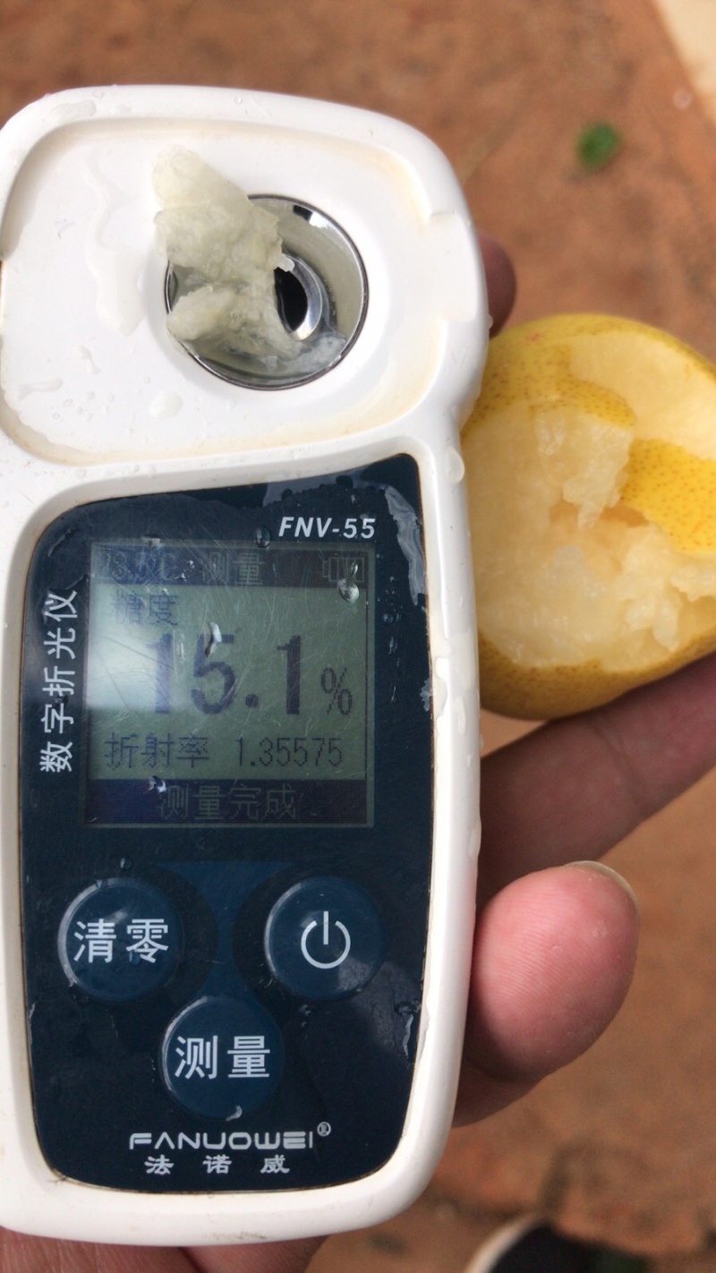 云南水果汇