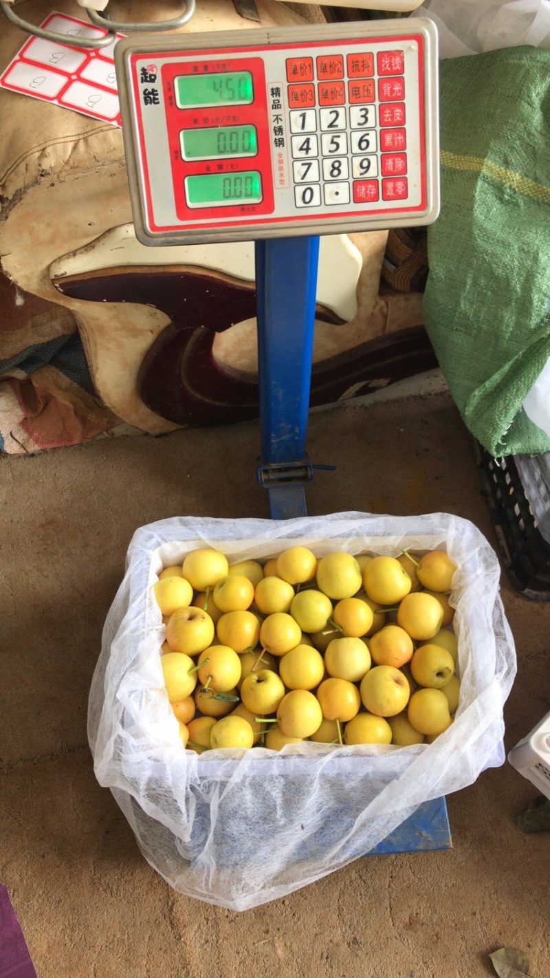 云南水果汇