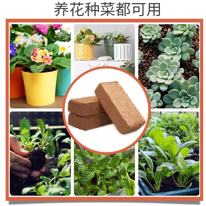 椰砖营养土清仓包邮特价通用型养花专用花土家我用脱盐椰土