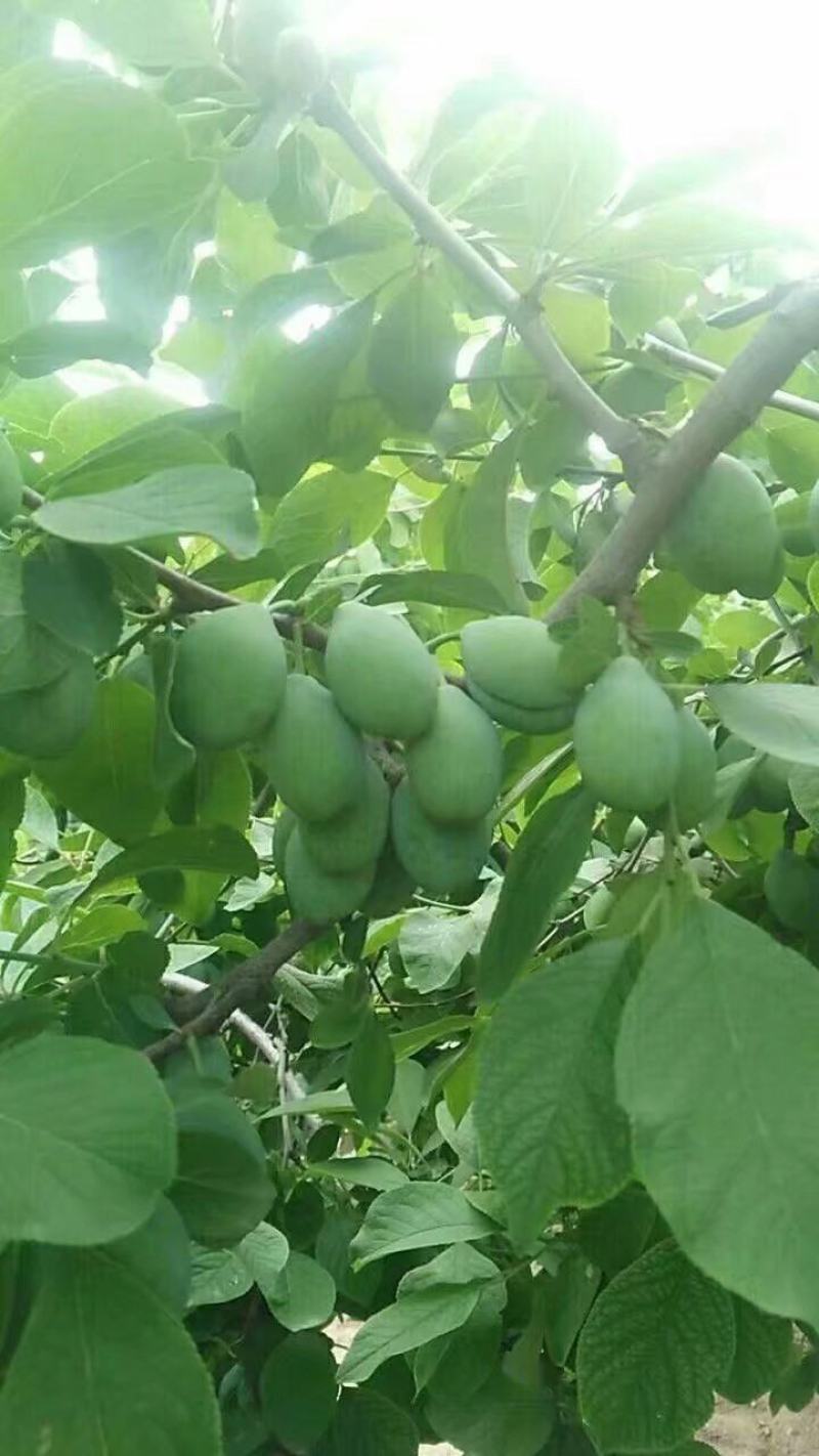 马上上市
