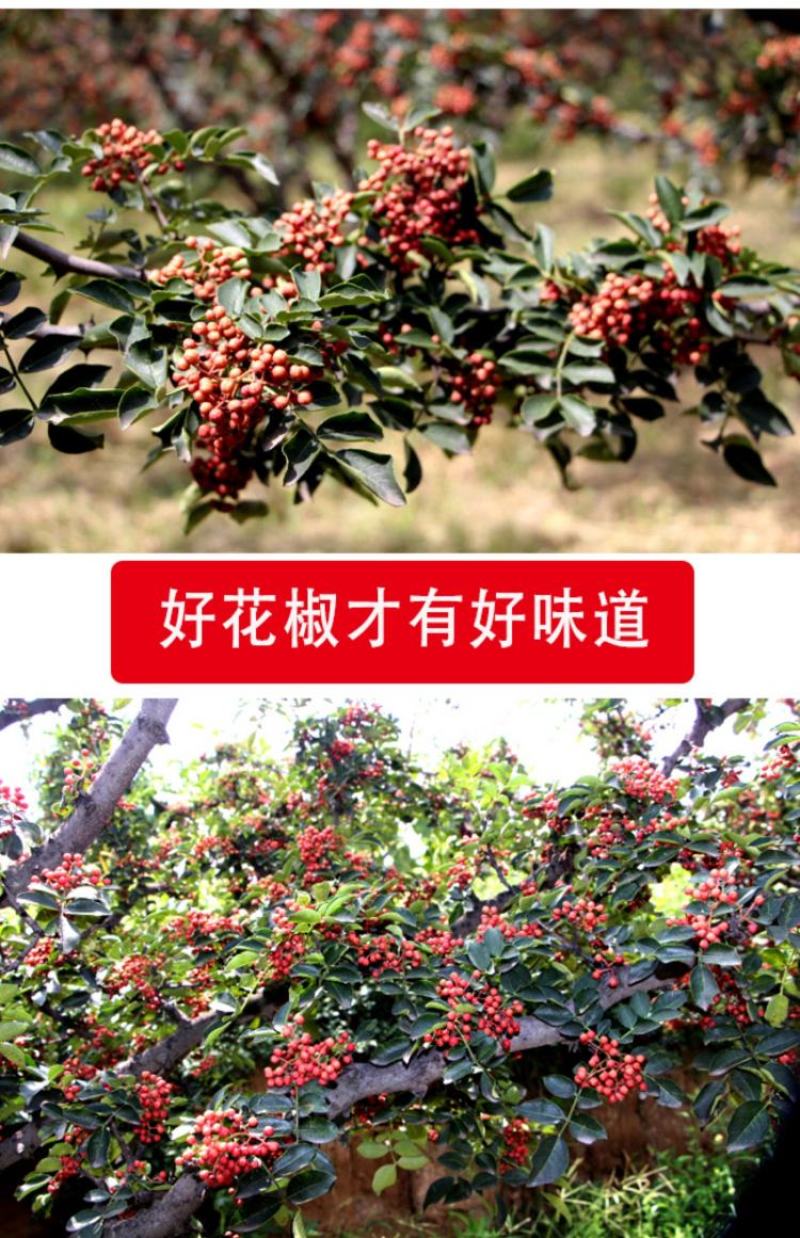 【花椒】陕西大红袍花椒农家自产基地直发精选品质