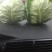 包包菜大量有货