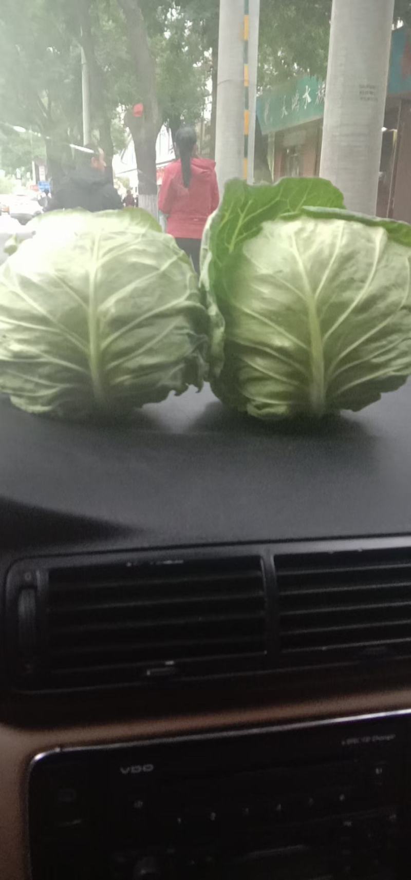 包包菜大量有货