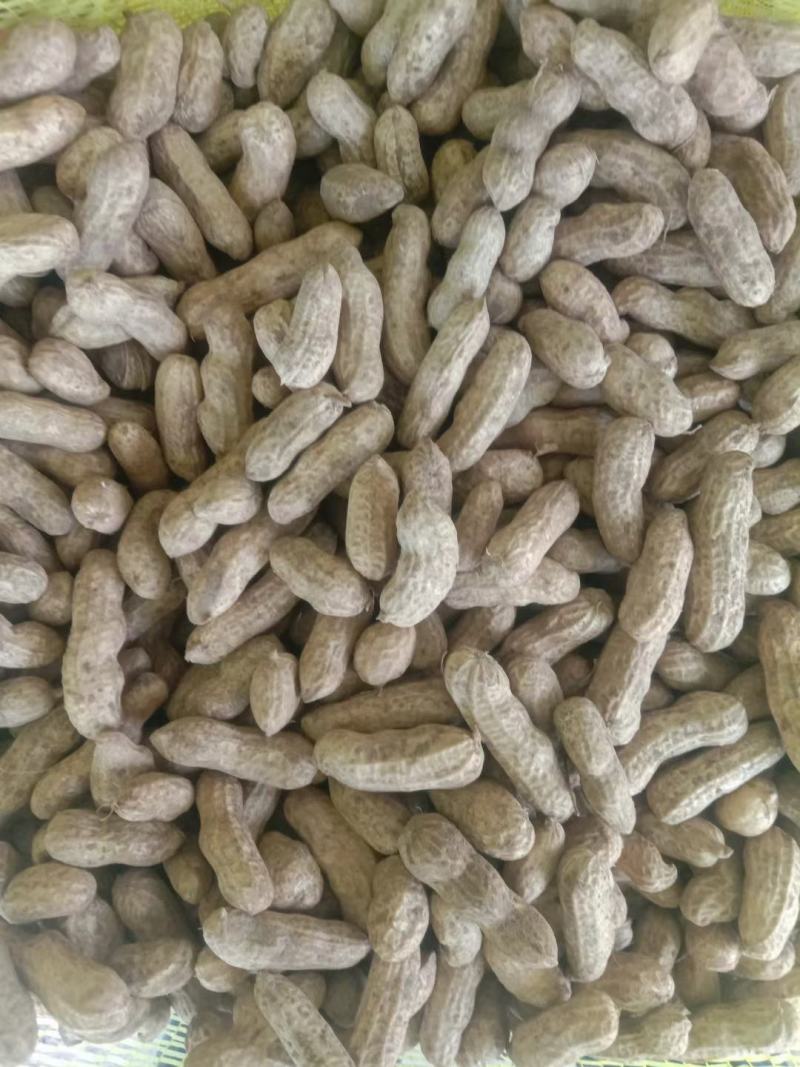 河南精品花生罗汉果产地直发品质保证一手货源量大从优