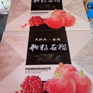 会理突尼斯软籽石榴