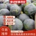 黑无籽西瓜，洞庭一号，自生苗，8至9成熟，货源充足