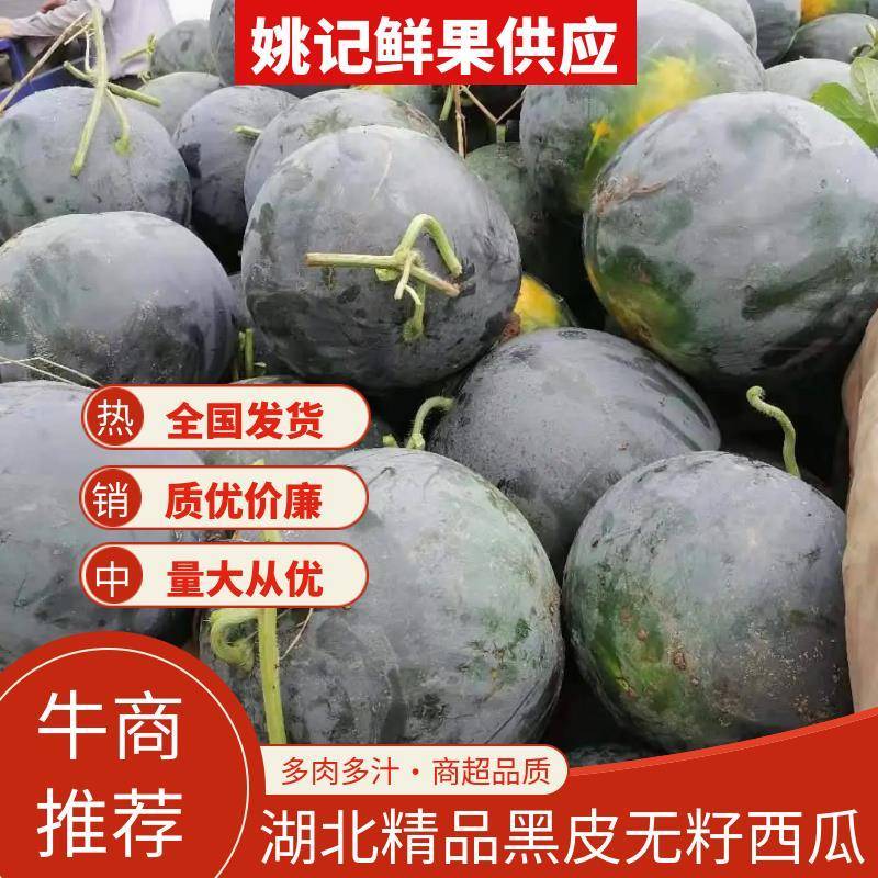 黑无籽西瓜，洞庭一号，自生苗，8至9成熟，货源充足