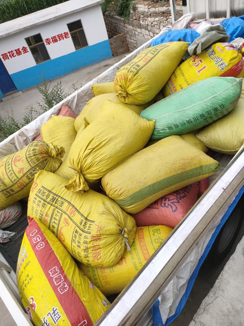 连翘河北省石家庄市平山县产地直销量大从优