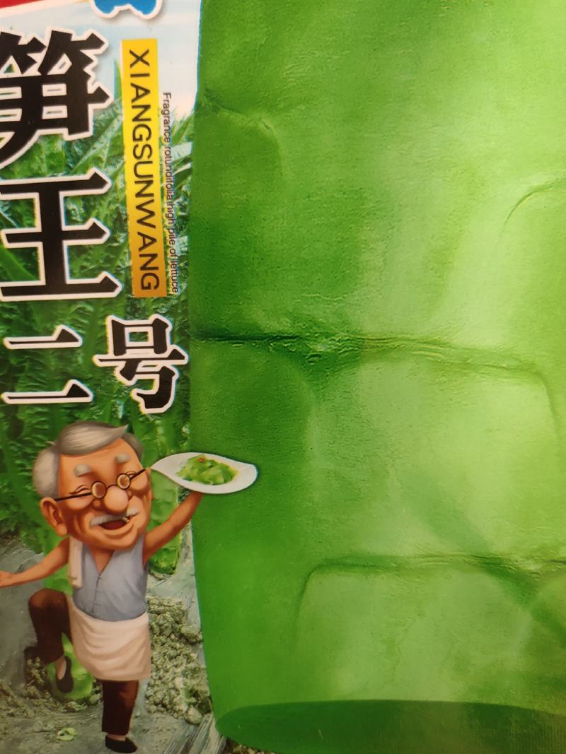 香青王一号莴笋种子，圆叶。抗热耐寒，耐抽苔，青绿色