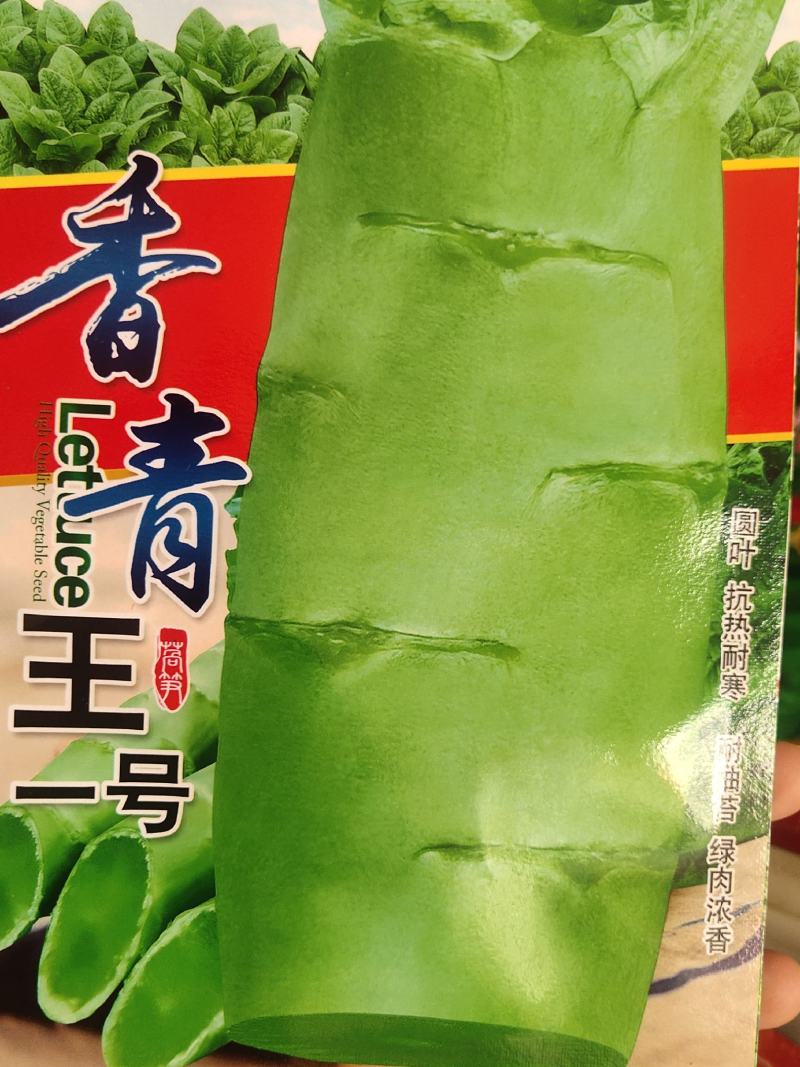 香笋王二号，莴笋种子。叶片呈青尖叶，抗寒耐寒性强，