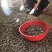 福建漳州云霄花蛤花甲小花甲油甲货源头一件起批（70斤）