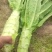 精品三青，红尖叶莴笋大量上市，儿菜，莲花白，欢迎与我联系