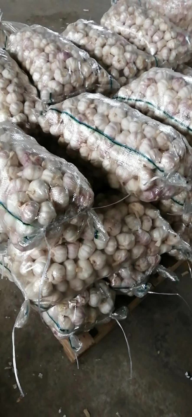 金乡优质大蒜