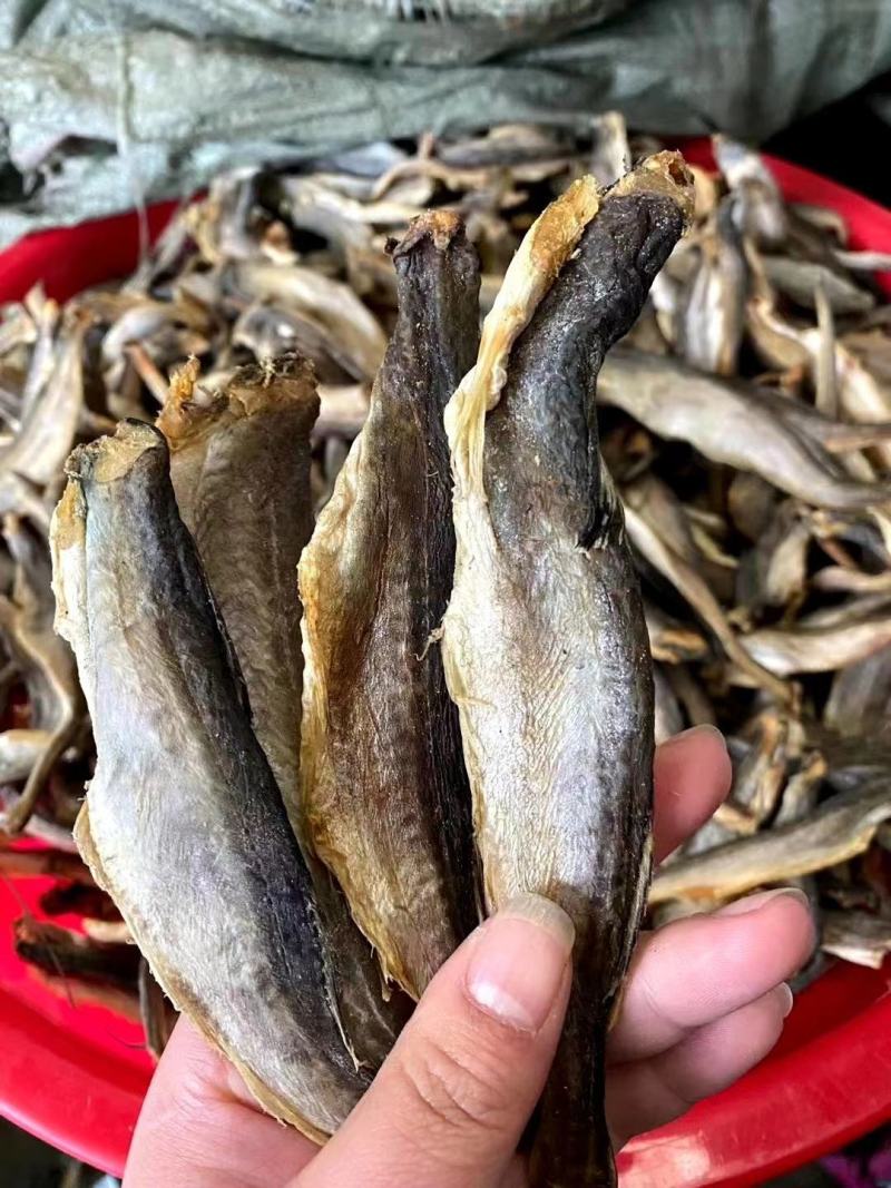 全干深海小龙鱼跑江湖摆摊展销会产地直发一手货源