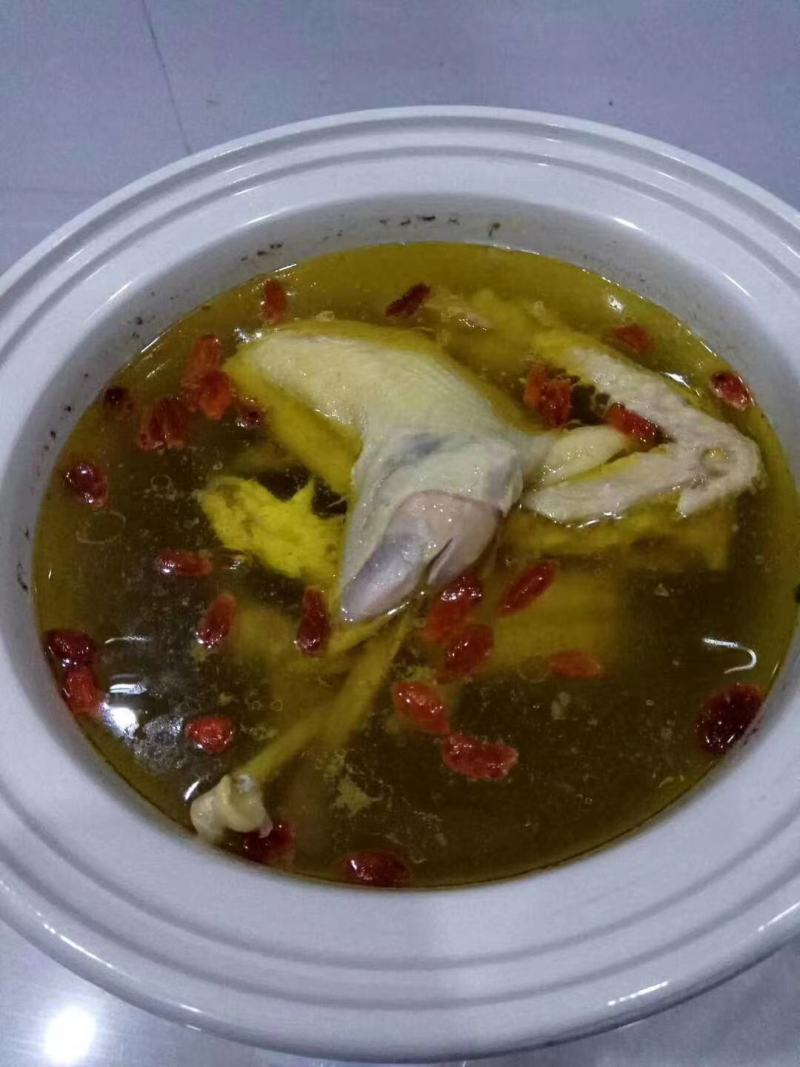500天老母鸡肉质鲜美均重3.2斤左右土鸡品种