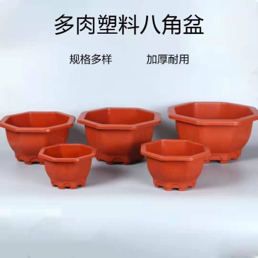 加厚八角多肉盆，各种规格，厂家直销，量大从优，