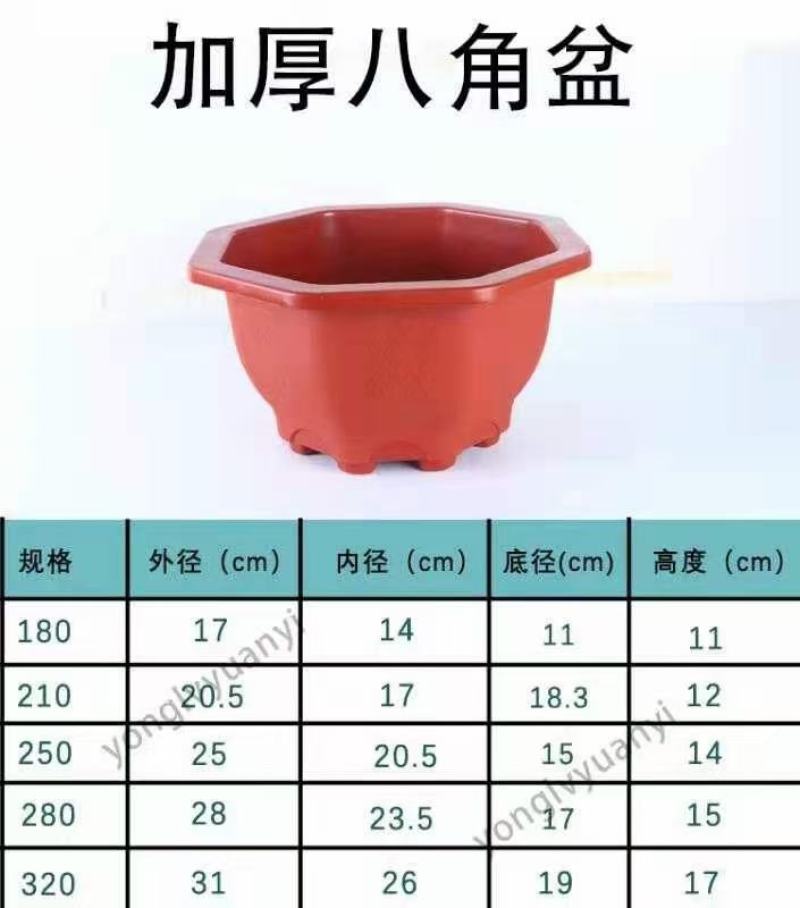 加厚八角多肉盆，各种规格，厂家直销，量大从优，