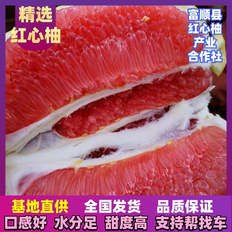 富顺万亩红心柚大量上市全国发货年产2000万斤以上