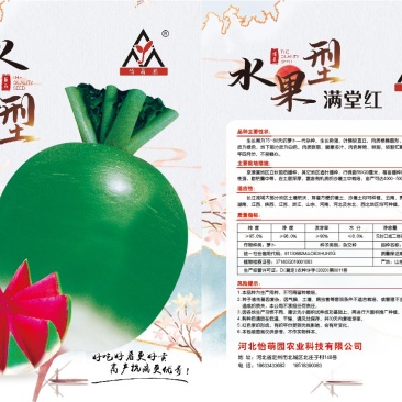 好吃的水果型满堂红种子发货中
