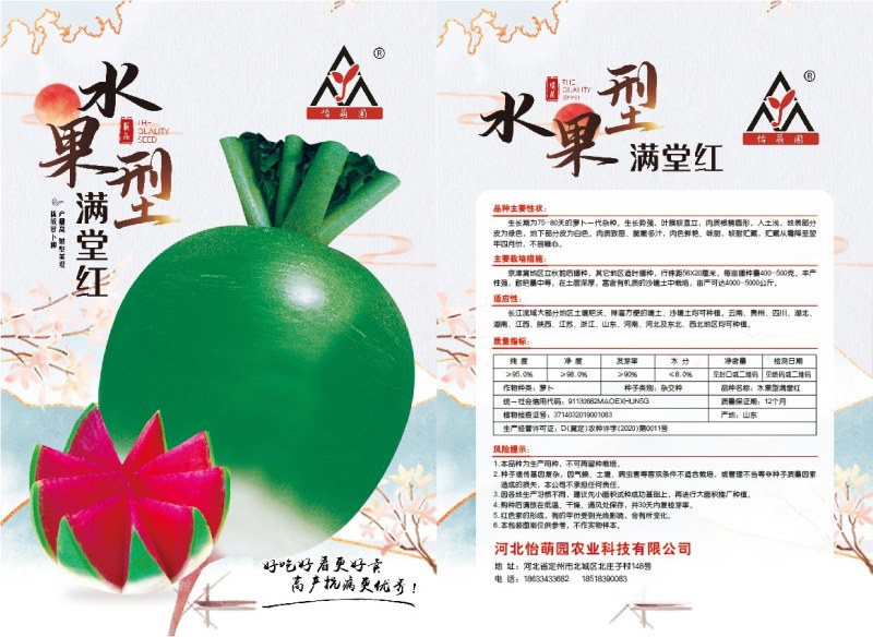 好吃的水果型满堂红种子发货中