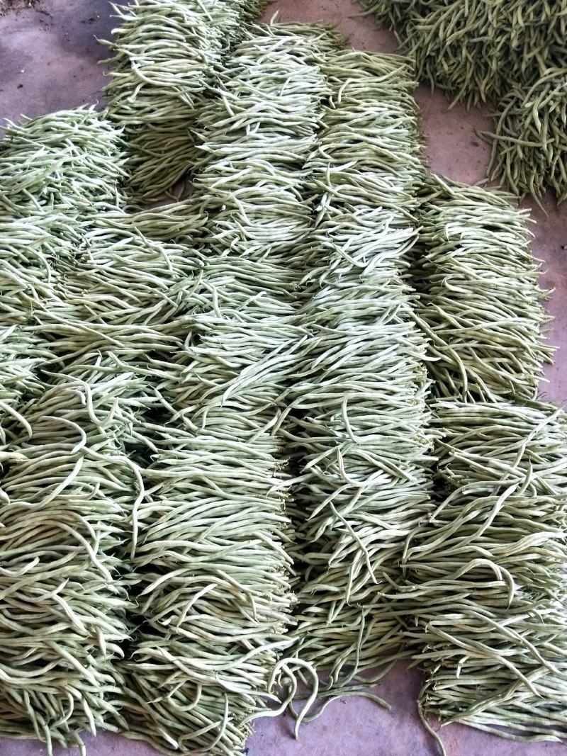精品无丝豆