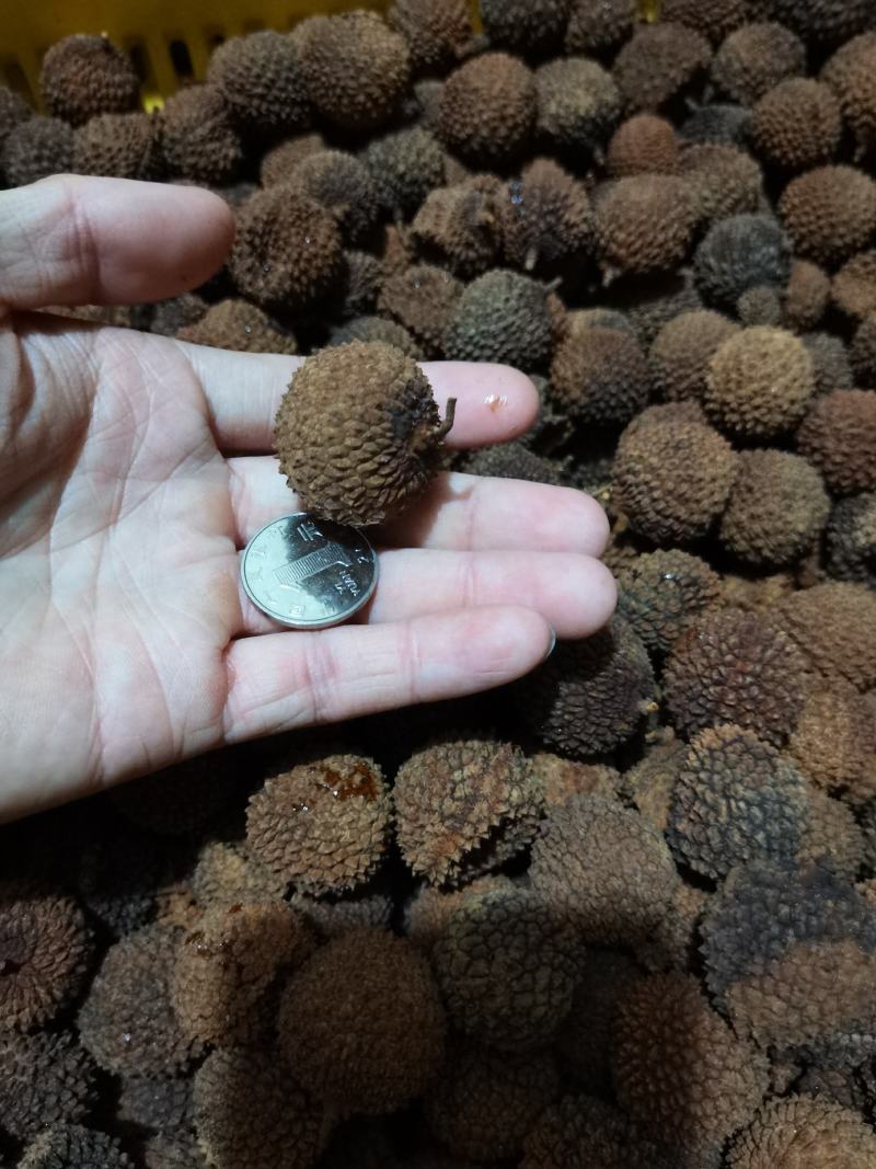 桂味荔枝干，急需处理500斤左右库存当季荔枝干