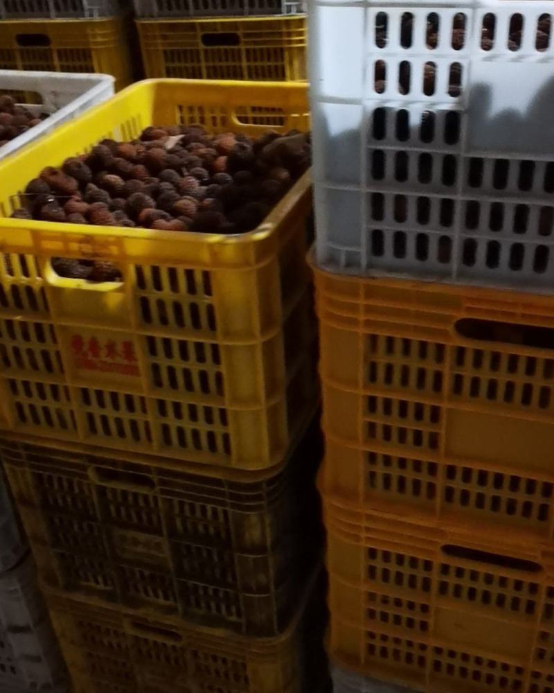 桂味荔枝干，急需处理500斤左右库存当季荔枝干