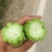 精品苦瓜大量供应，电商供应有需要的联系