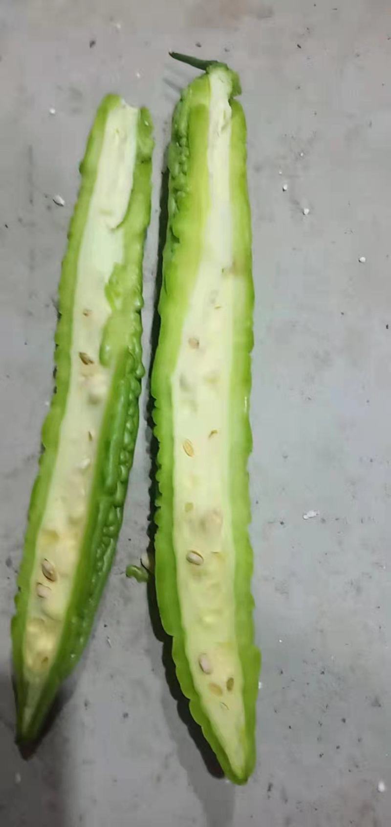 精品苦瓜大量供应，电商供应有需要的联系