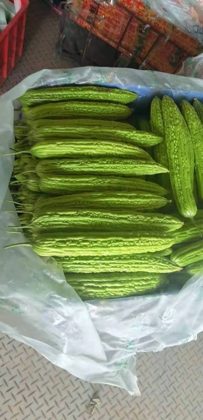 精品苦瓜大量供应，电商供应有需要的联系