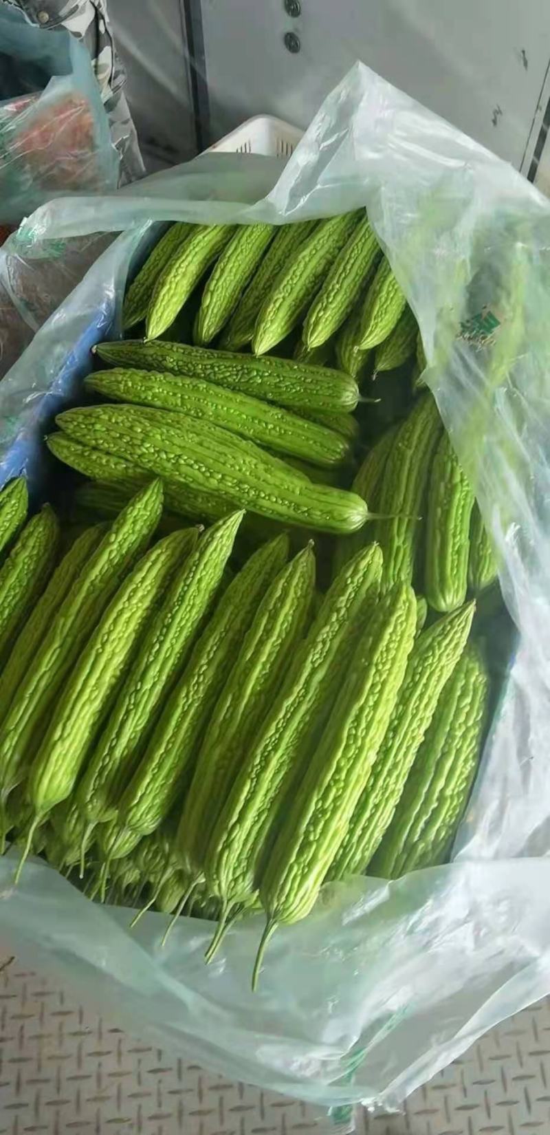 精品苦瓜大量供应，电商供应有需要的联系