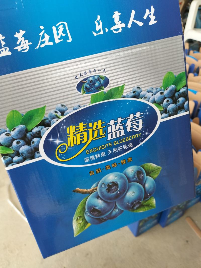 蓝莓