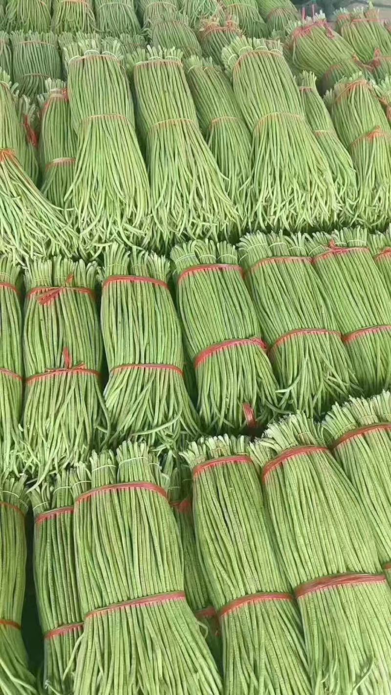 兰陵精品长豆角，豇豆，货源充足，线条好，产地直发
