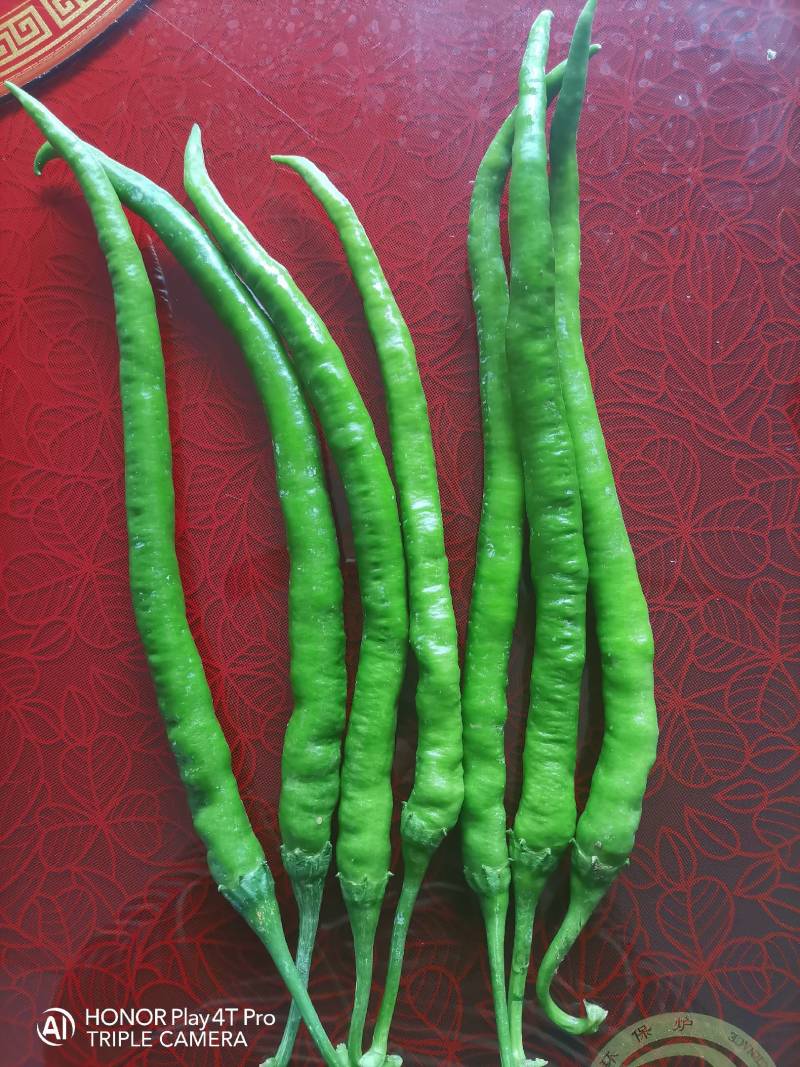 鲜辣椒