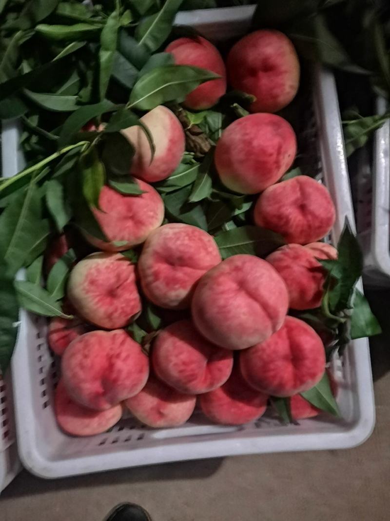 纸袋美脆大量上市货源充足