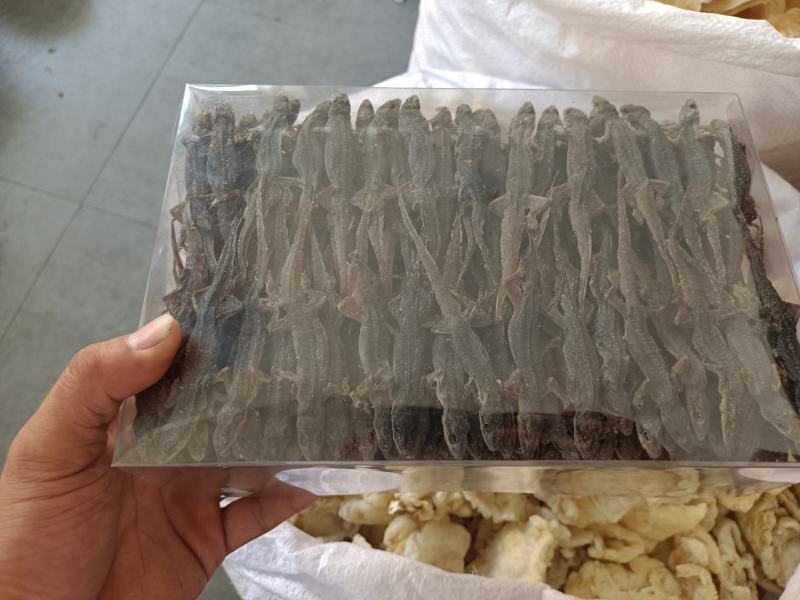 【优质商家】壁虎壁虎干天龙守宫一手货源