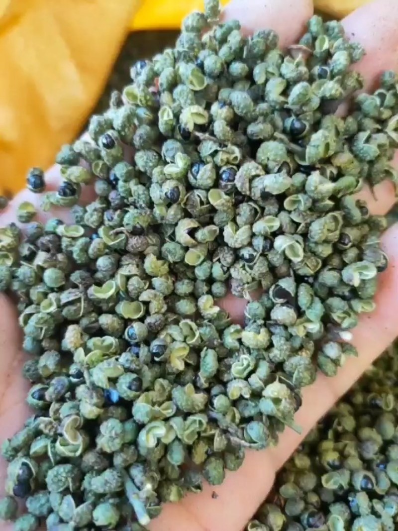 云南青花椒**应