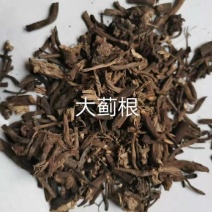 大蓟根干货大蓟根常年经营各种中药材