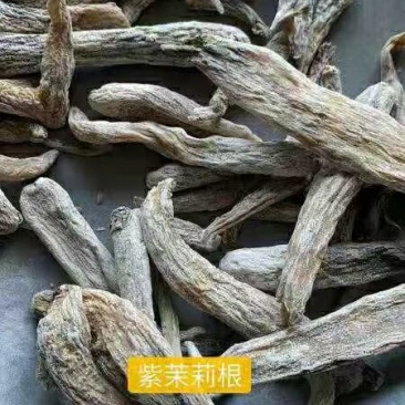 紫茉莉根干货常年经营各种中药材