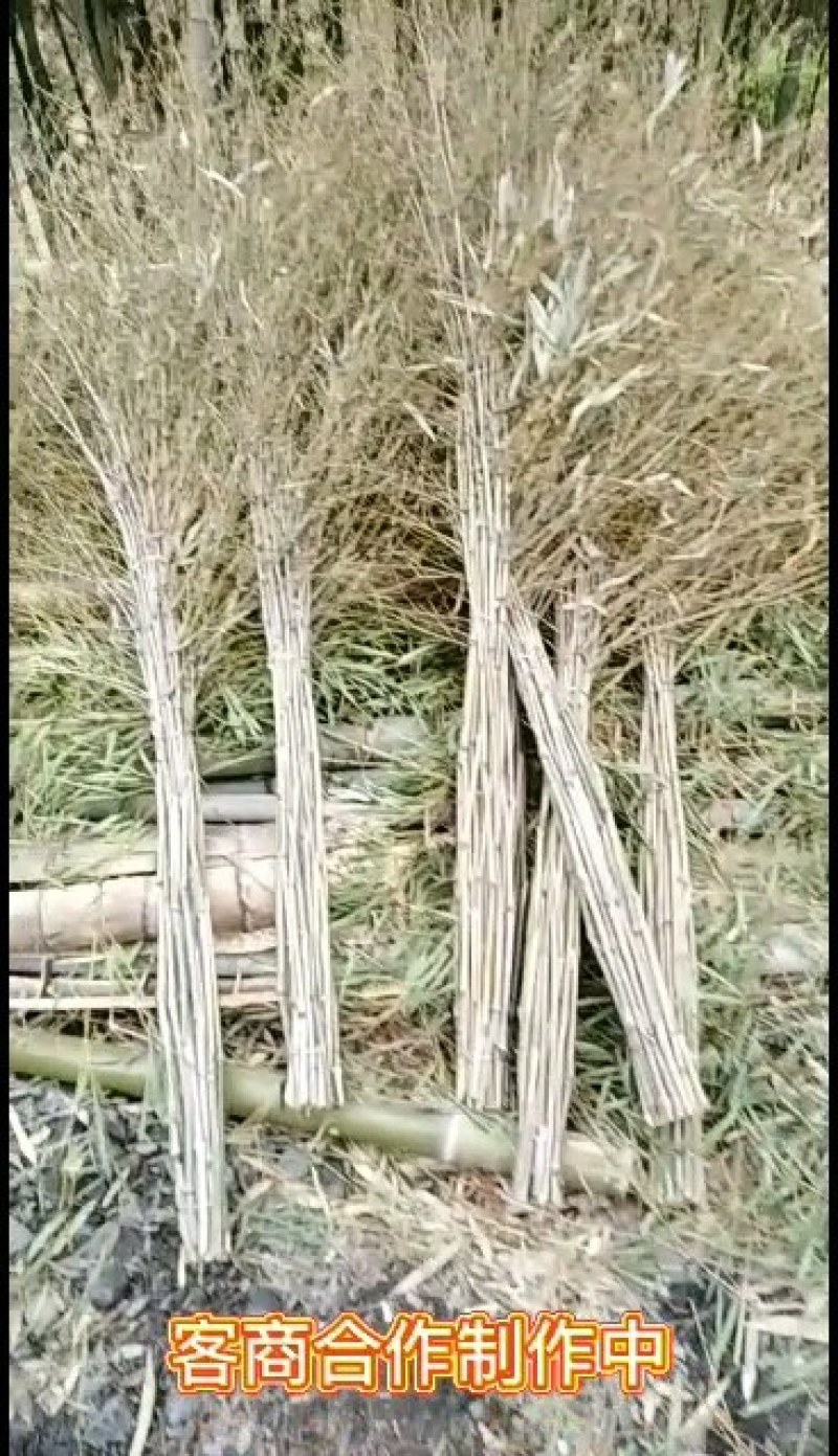 扫帚.竹子.竹叶量大优惠、货源充足，价格低廉。