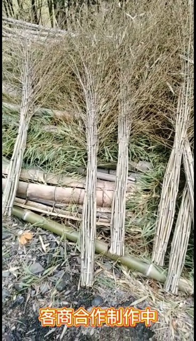 扫帚.竹子.竹叶量大优惠、货源充足，价格低廉。