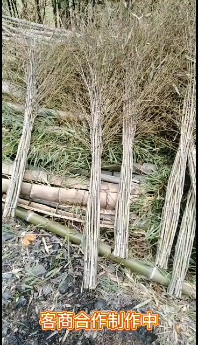 扫帚.竹子.竹叶量大优惠、货源充足，价格低廉。