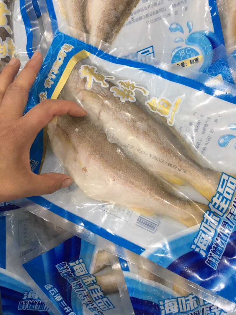 产地直发海辩鱼海鱼三去海鱼450克全国代发货