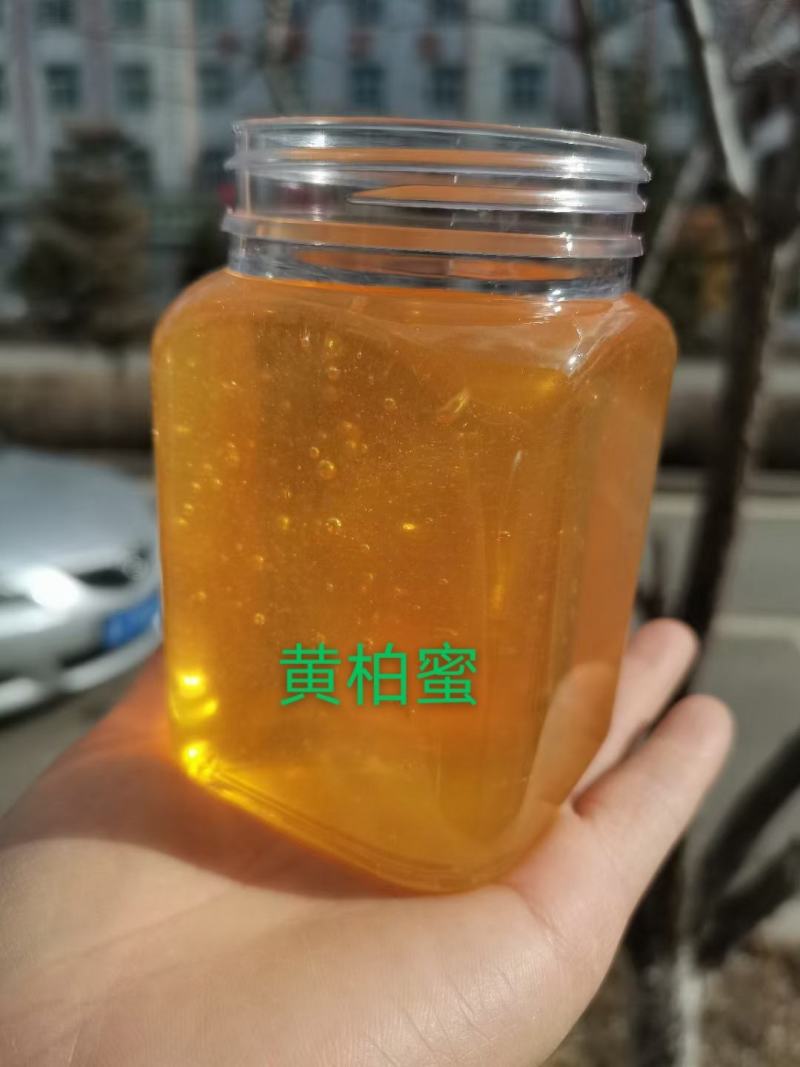 黄柏蜜刺五加蜜