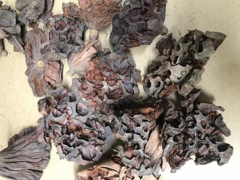 莲房干货干净无杂质常年经营各种中药材