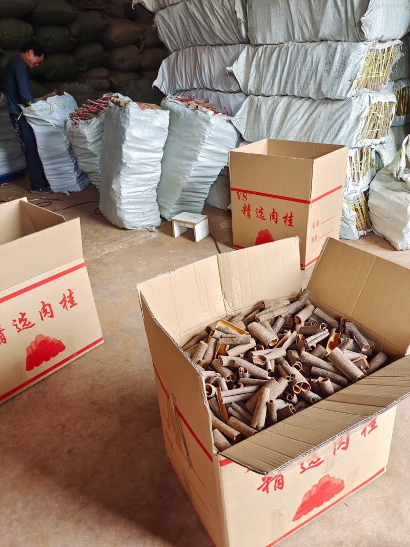 桂皮精选通条适合小包装入超市网上发