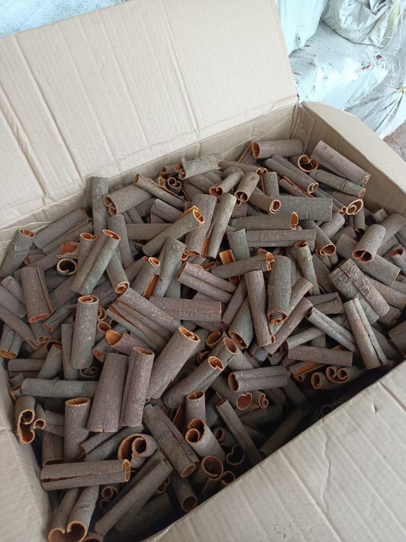 桂皮精选通条适合小包装入超市网上发